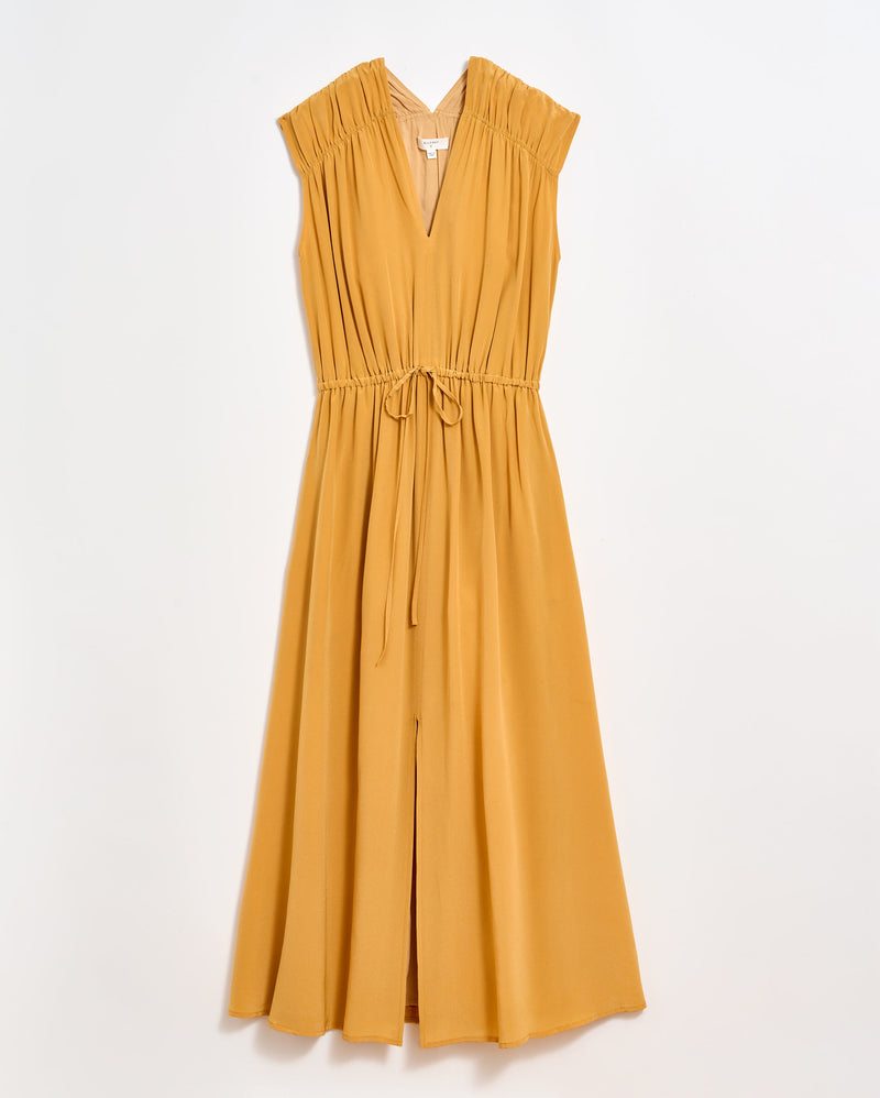 V-Neck Maxi Dress in Narcissus